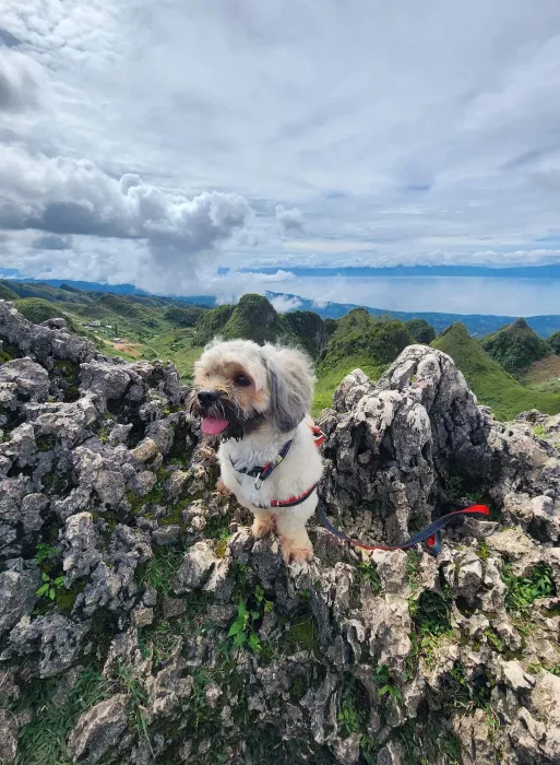 Гора «Osmeña Peak»