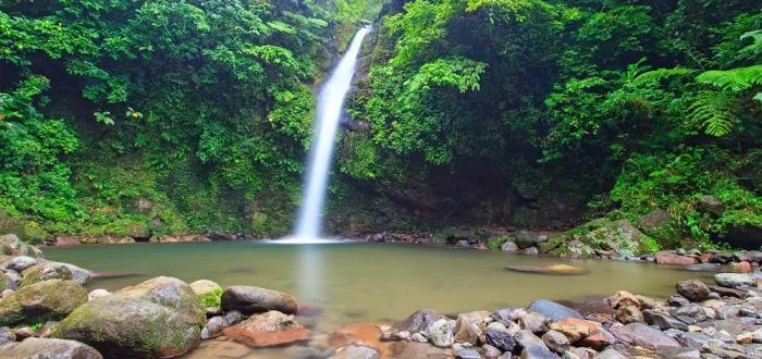 Круиз по реке «Loboc»