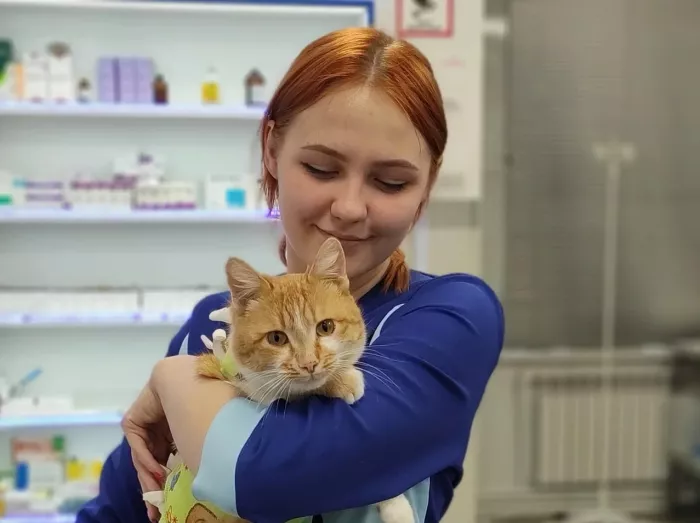 Ветеринарная клиника "Ветклиника доктора Зубкова"