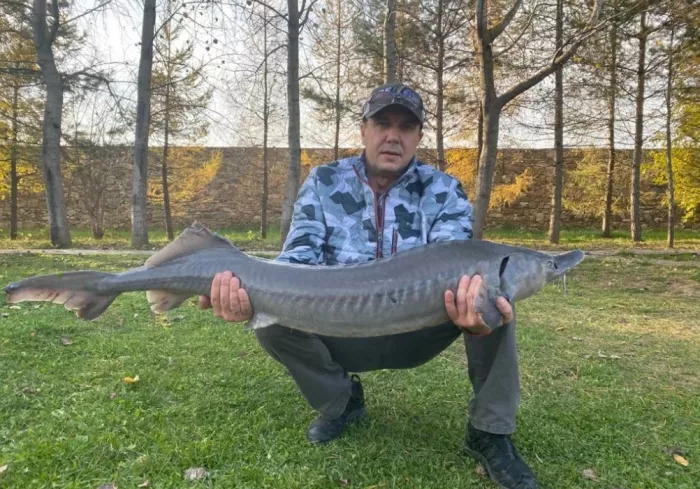 Рыболовный клуб "Золотой сазан".