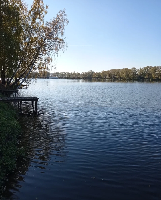 Рыболовная база "Сосенки".