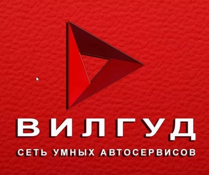 Сеть умных автосервисов "Вилгуд".