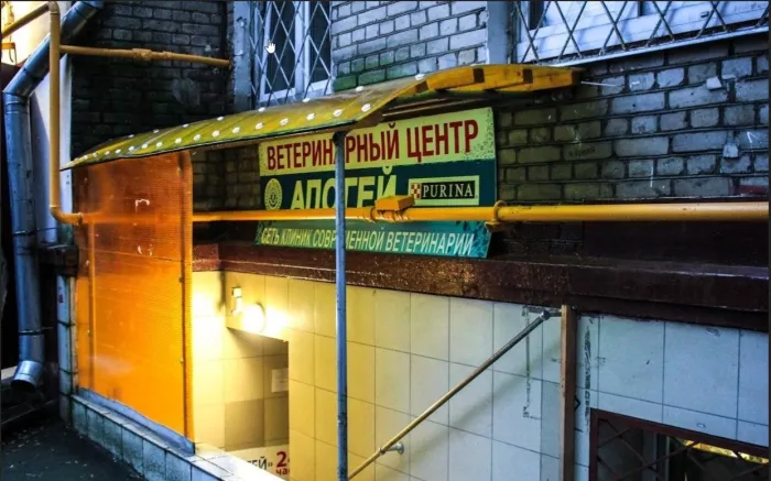 Ветеринарная клиника "Апогей".