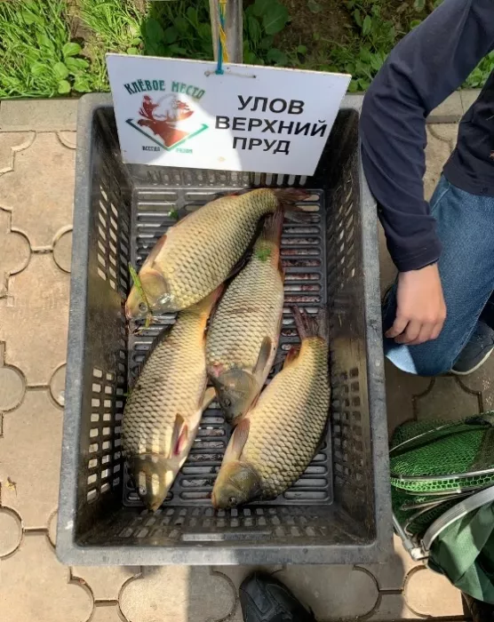 Рыболовный клуб "Клевое место".