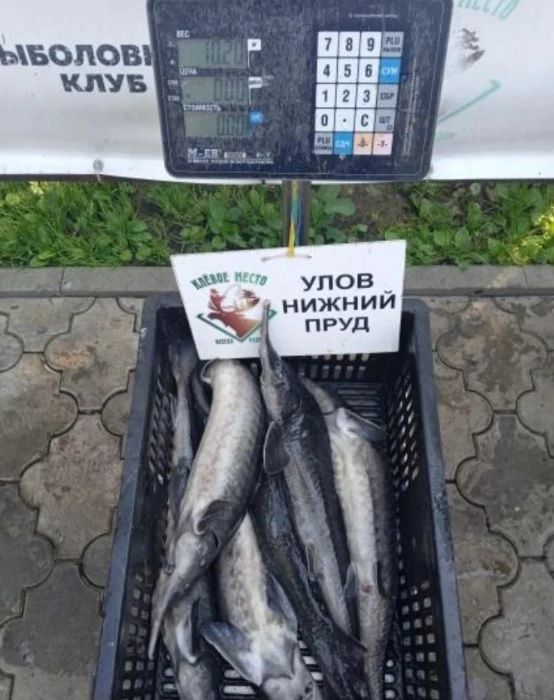 Рыболовный клуб "Клевое место".