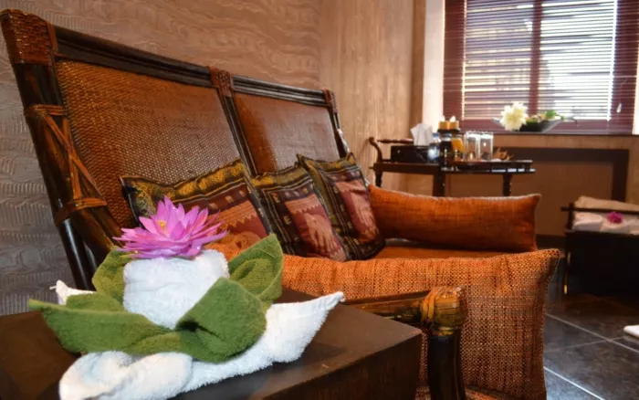 Сеть тайских SPA салонов "Thai-SPA 7 красок". 