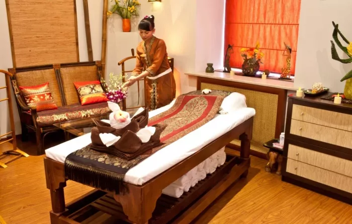 Сеть тайских SPA салонов "Thai-SPA 7 красок". 
