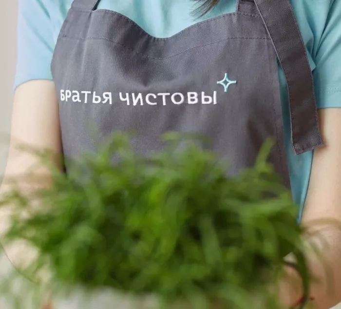 Клининговые услуги "Братья Чистовы"