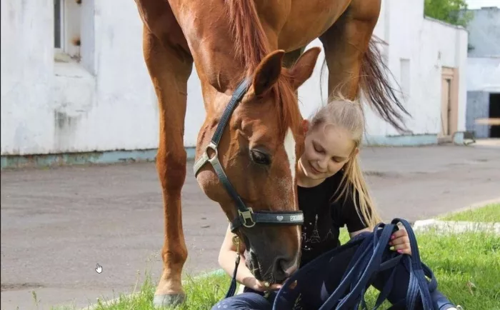 Школа верховой езды "Dressage-land".