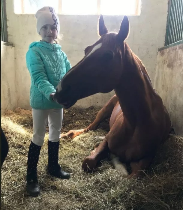 Школа верховой езды "Dressage-land".