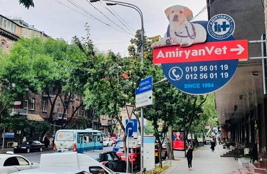 Ветеринарная клиника в Ереване "AmiryanVet".