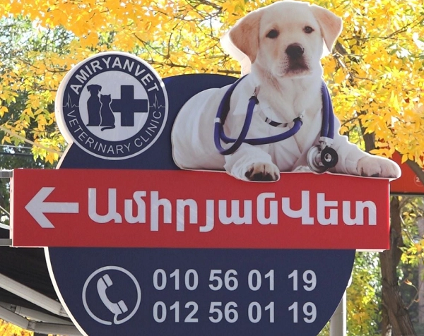 Ветеринарная клиника в Ереване "AmiryanVet".