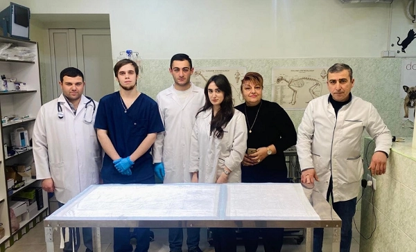 Ветеринарная клиника в Ереване "AmiryanVet".