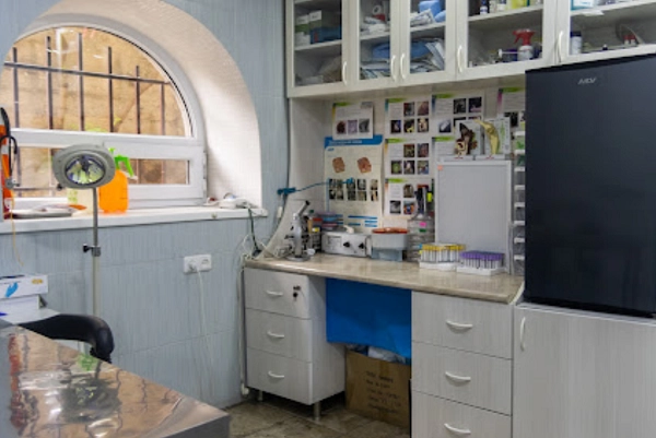 Ветеринар в Ереване "Vetexpert Veterinary Group".