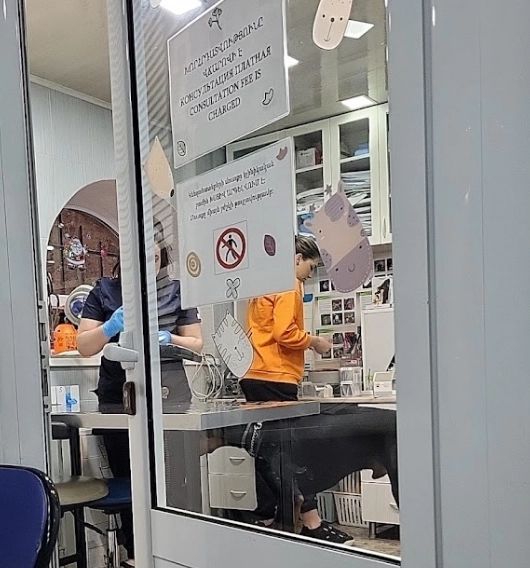 Ветеринар в Ереване "Vetexpert Veterinary Group".