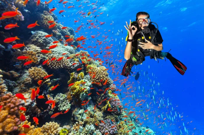 Дайвинг "Boracay Scuba Diving"
