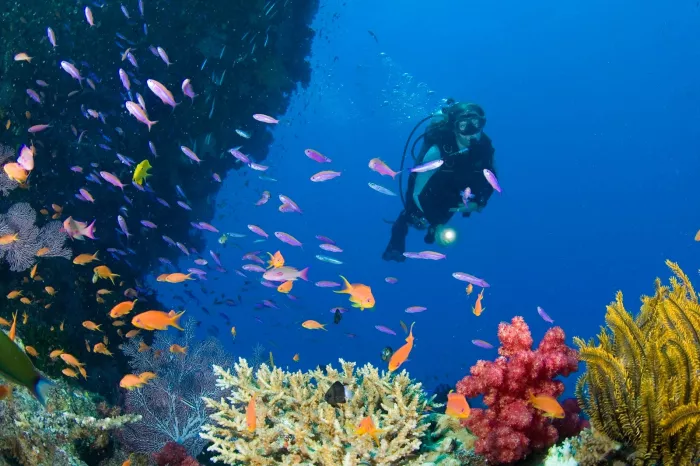 Дайвинг "Boracay Scuba Diving"