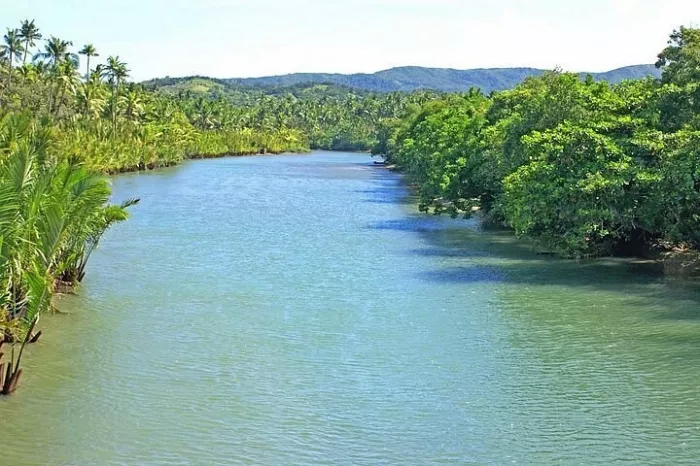 Ферма «Cambuhat Oyster Farm»