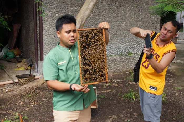 Отель «Bohol Bee Farm»