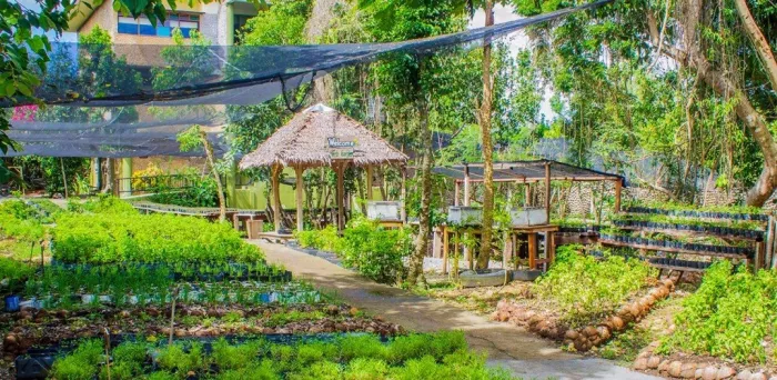 Отель «Bohol Bee Farm»