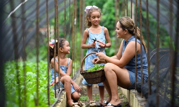 Отель «Bohol Bee Farm»