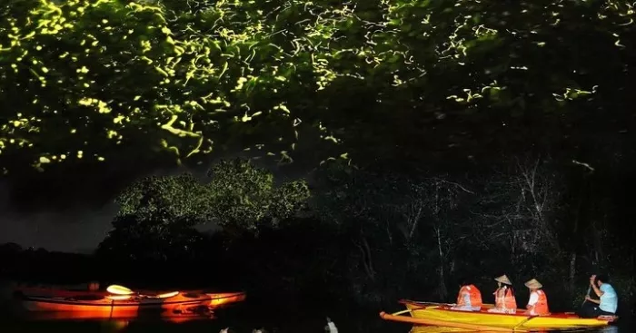 Ночной Круиз «Bohol Firefly Watching at Abatan River»