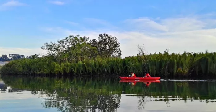 Ночной Круиз «Bohol Firefly Watching at Abatan River»