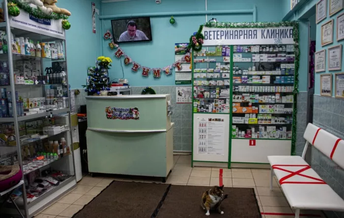 Ветеринарная клиника "ВЕТЗАБОТА".