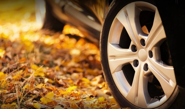 Автопрокат "LocalCars Rent-A-Car".