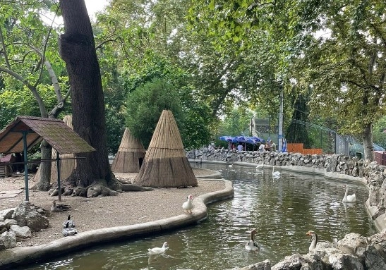 Белградский зоопарк