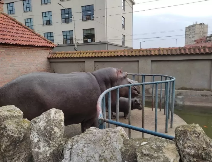 Белградский зоопарк