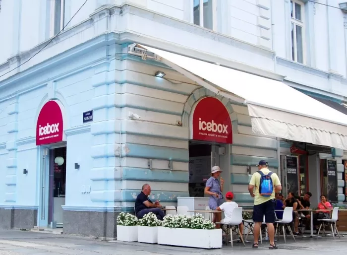 Icebox Frozen Yogurt & Ice Cream