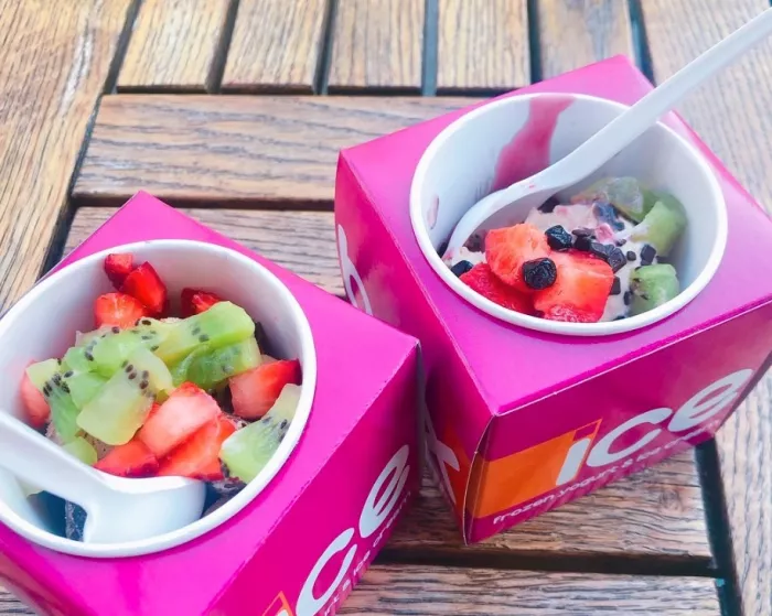 Icebox Frozen Yogurt & Ice Cream