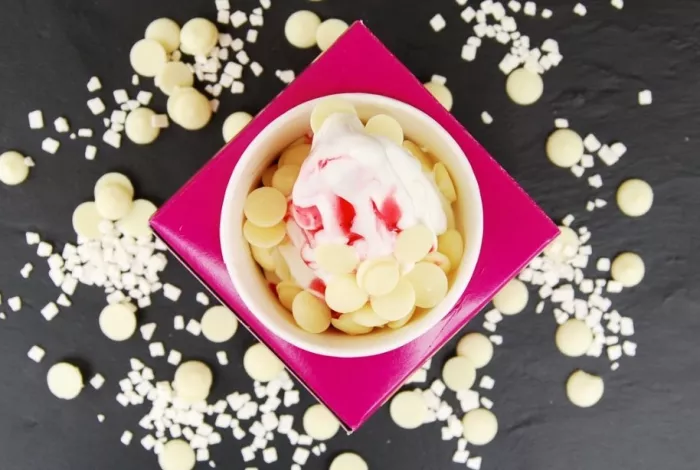Icebox Frozen Yogurt & Ice Cream