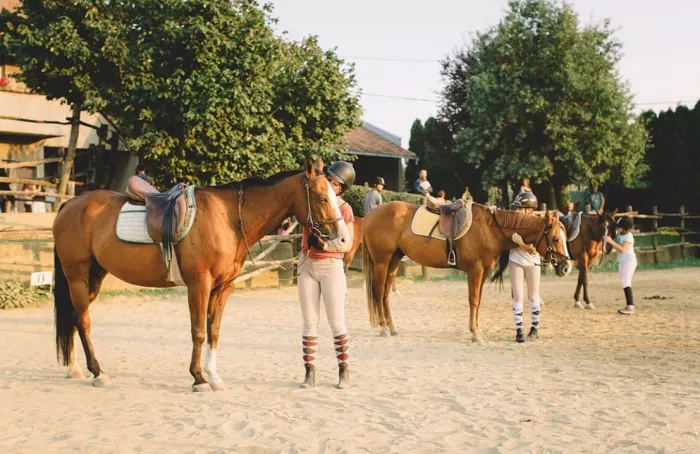 Konjički Klub Fortuna