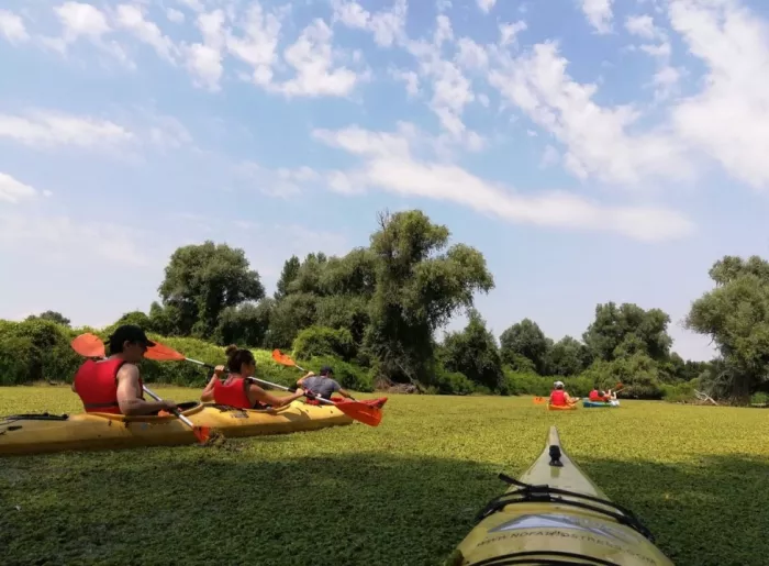 Belgrade Kayak Trip