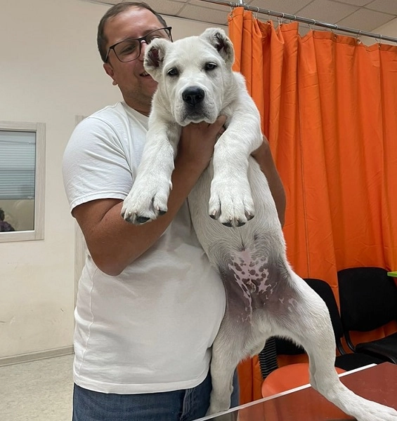 Ветеринарная клиника "VetHome Veterinary Clinic".