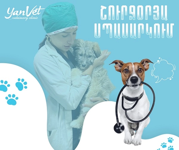 Ветеринарная клиника в Ереване "Yanvet".