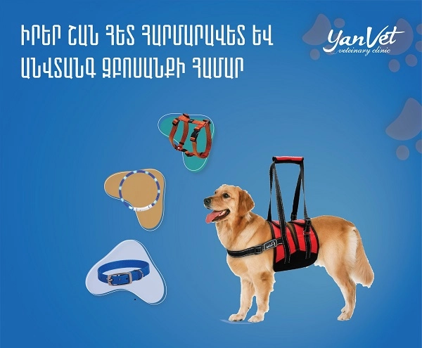 Ветеринарная клиника в Ереване "Yanvet".