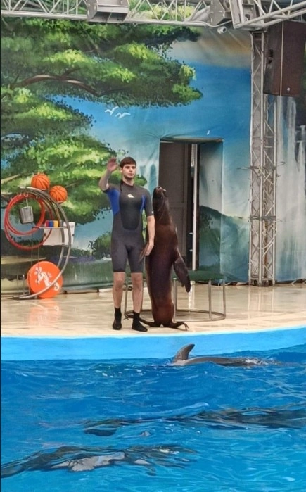 Дельфинарий "Немо".