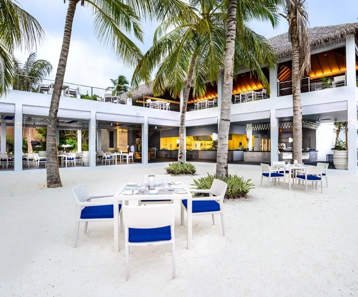 Ресторан "Thila" (Restaurant "Thila")