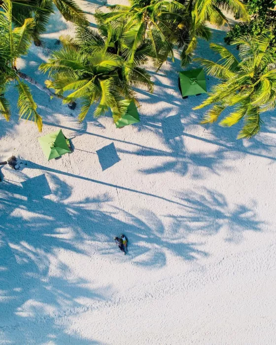 Отель «South Palms Resort Panglao»