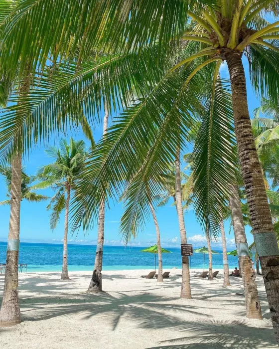 Отель «South Palms Resort Panglao»