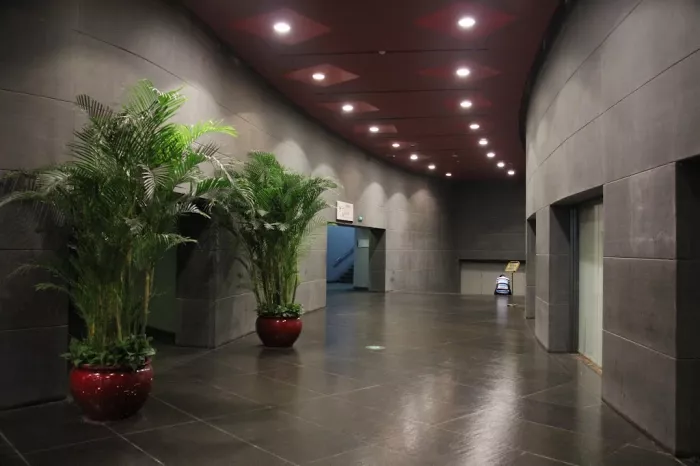 Театр «National Center for the Performing Arts»