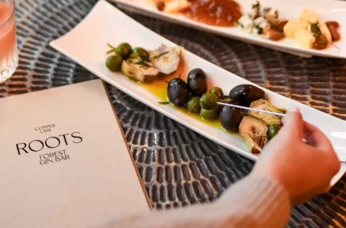 Бар «Roots Bar»