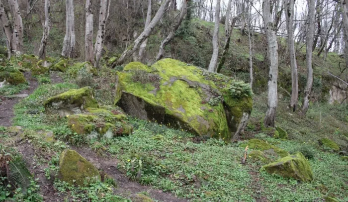 Гора "Бытха"