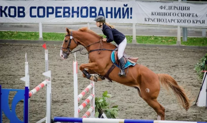 Конноспортивный клуб "Светлана"