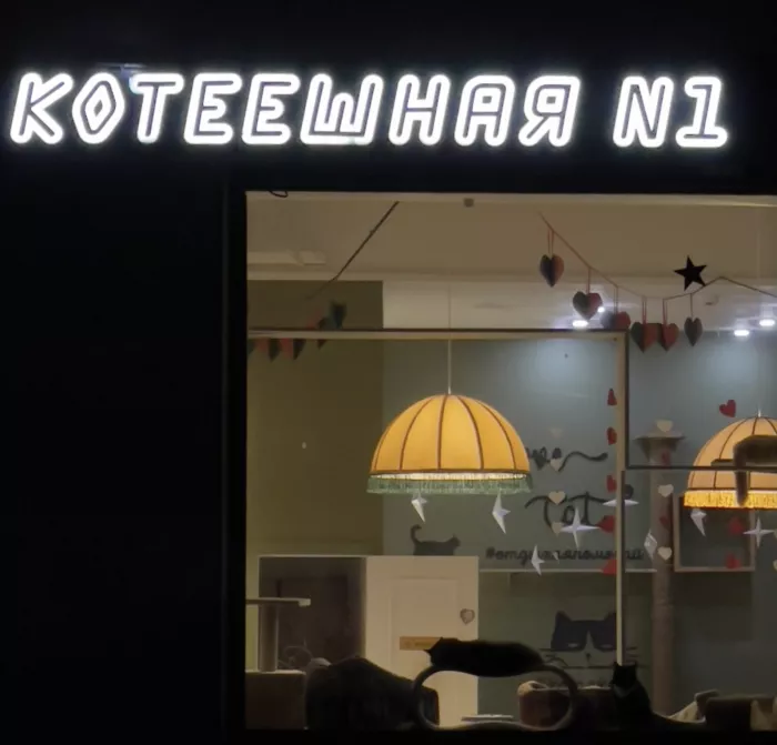 Сеть Котокафе "Котики и люди"