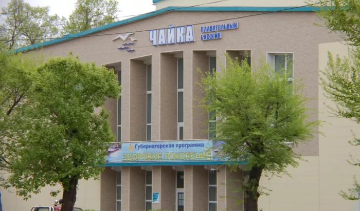 Чайка