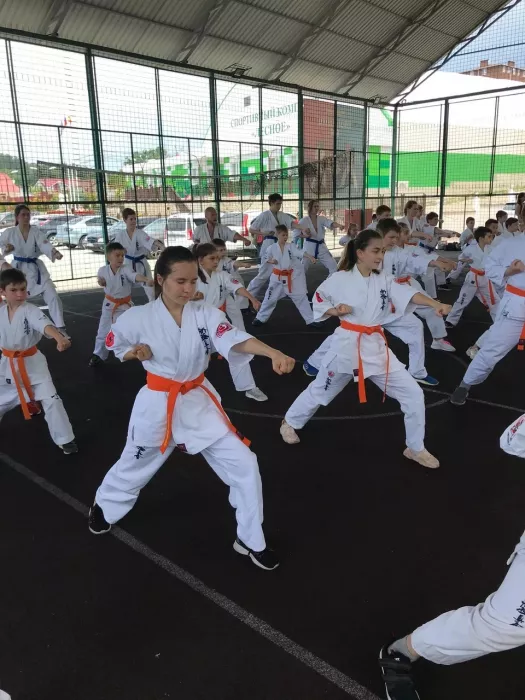 Спортивный клуб "Safronov team"